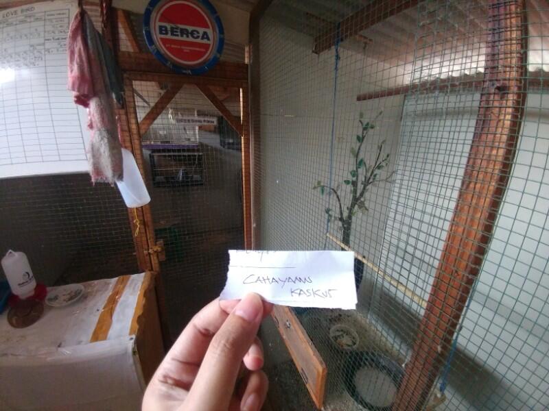 Sosok Bayangan Hitam Di Ruangan Sangkar Burung Yang Menghantui