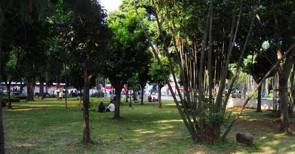 Tukang Sekuteng di Taman Proklamasi
