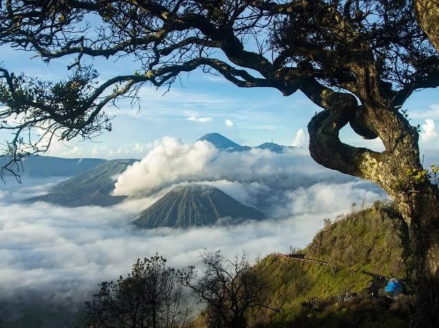 &#91;COC Reg. Bromo&#93; Kalau Ke Bromo, Jangan Lewatkan 3 Tempat Berikut!