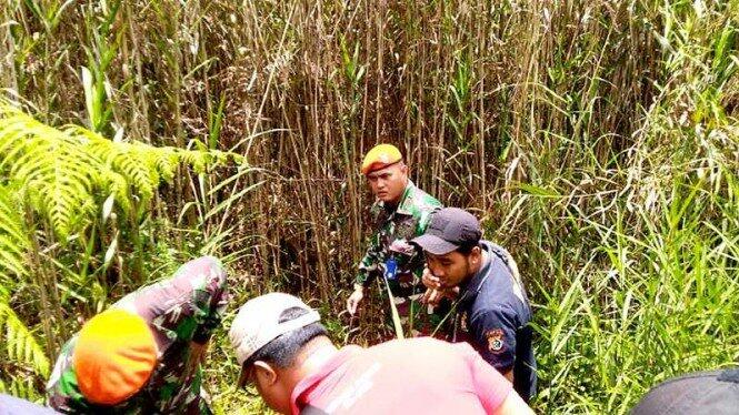 Prajurit TNI Temukan Gubuk di Sarang OPM, Ternyata Ladang Ganja.