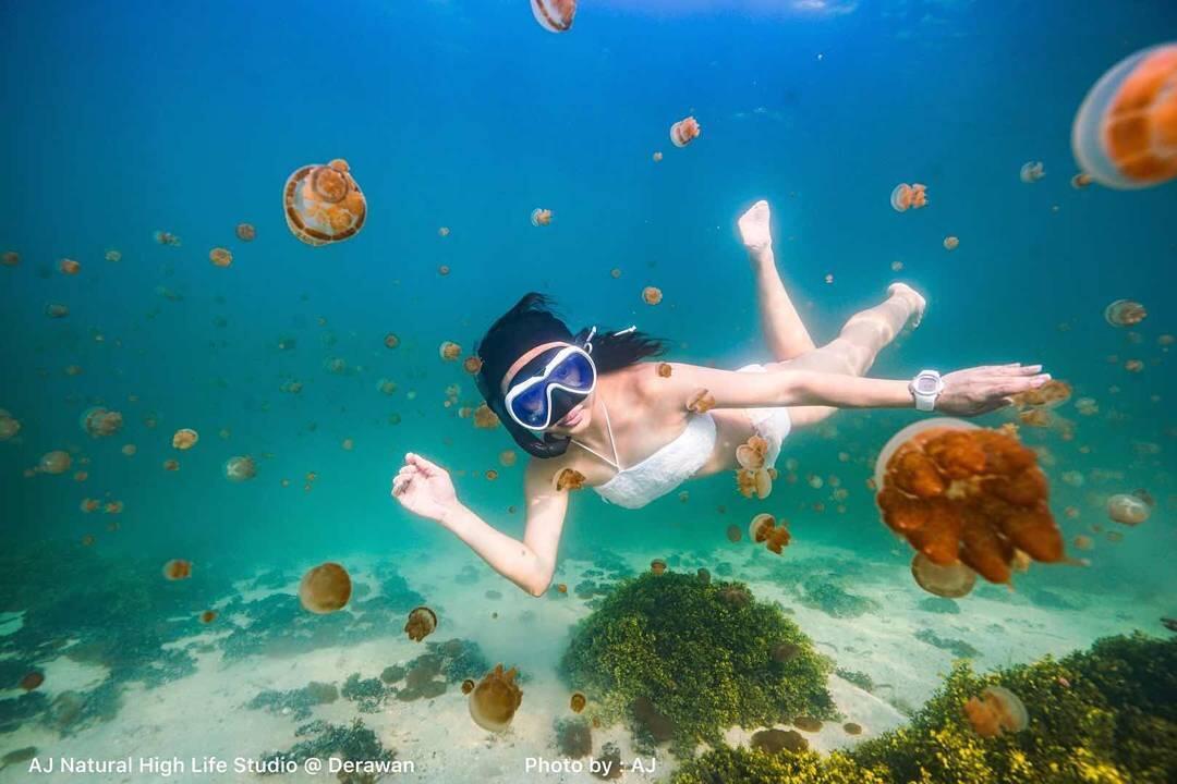 &#91;COC REG.KalTim&#93; Serunya Berenang Bareng Ubur-Ubur Di Danau Kakaban!