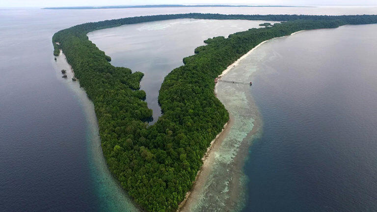 &#91;COC REG.KalTim&#93; Serunya Berenang Bareng Ubur-Ubur Di Danau Kakaban!