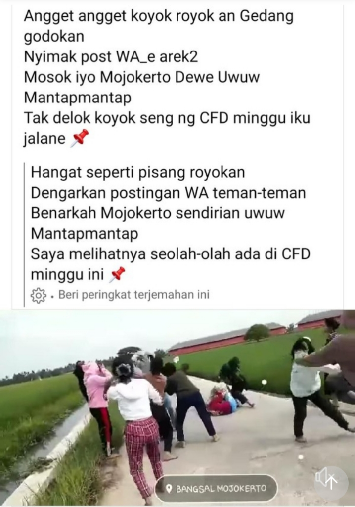 Viral Cabe-cabean Tawuran di Mojokerto