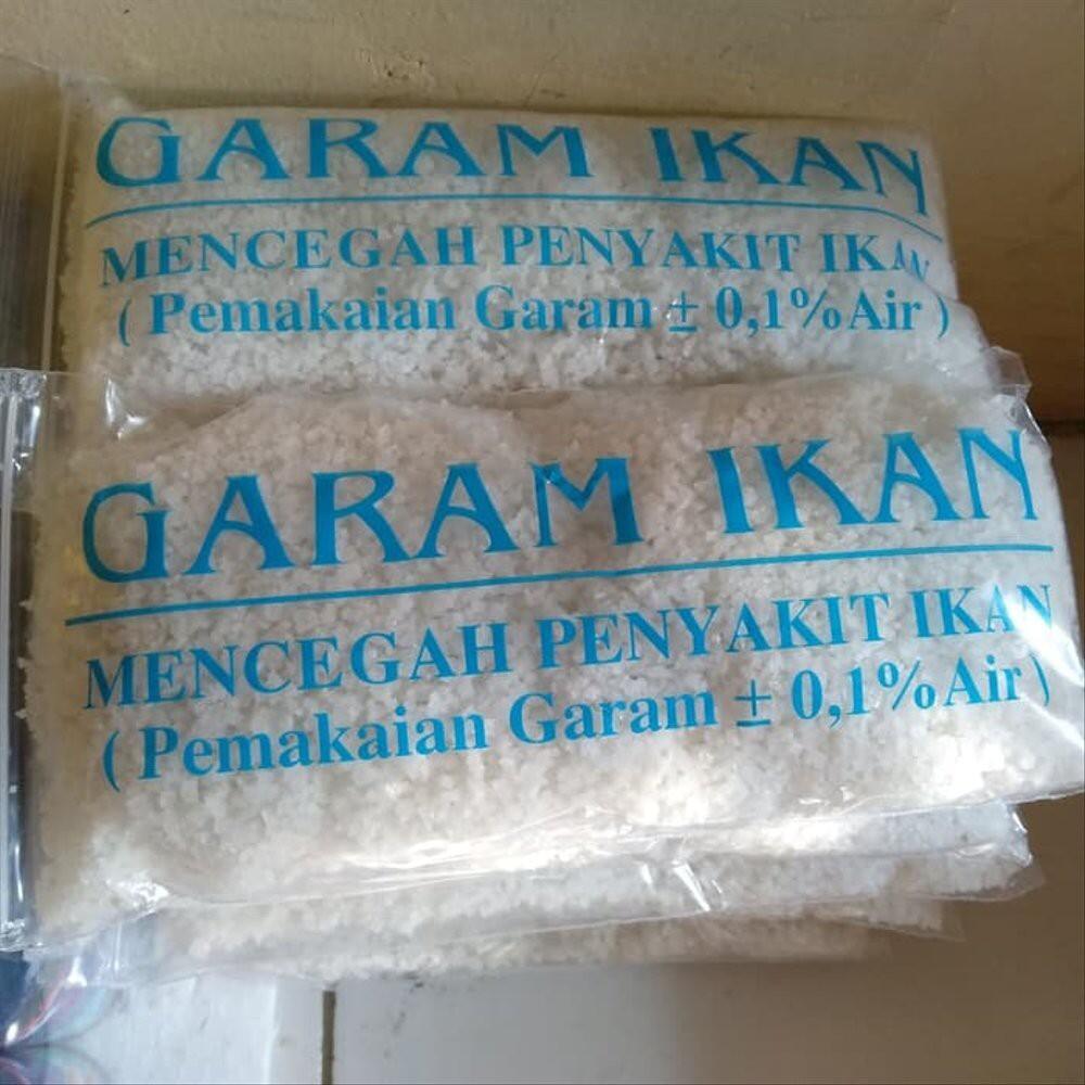 Cara Budidaya Ikan Cupang #Pemula