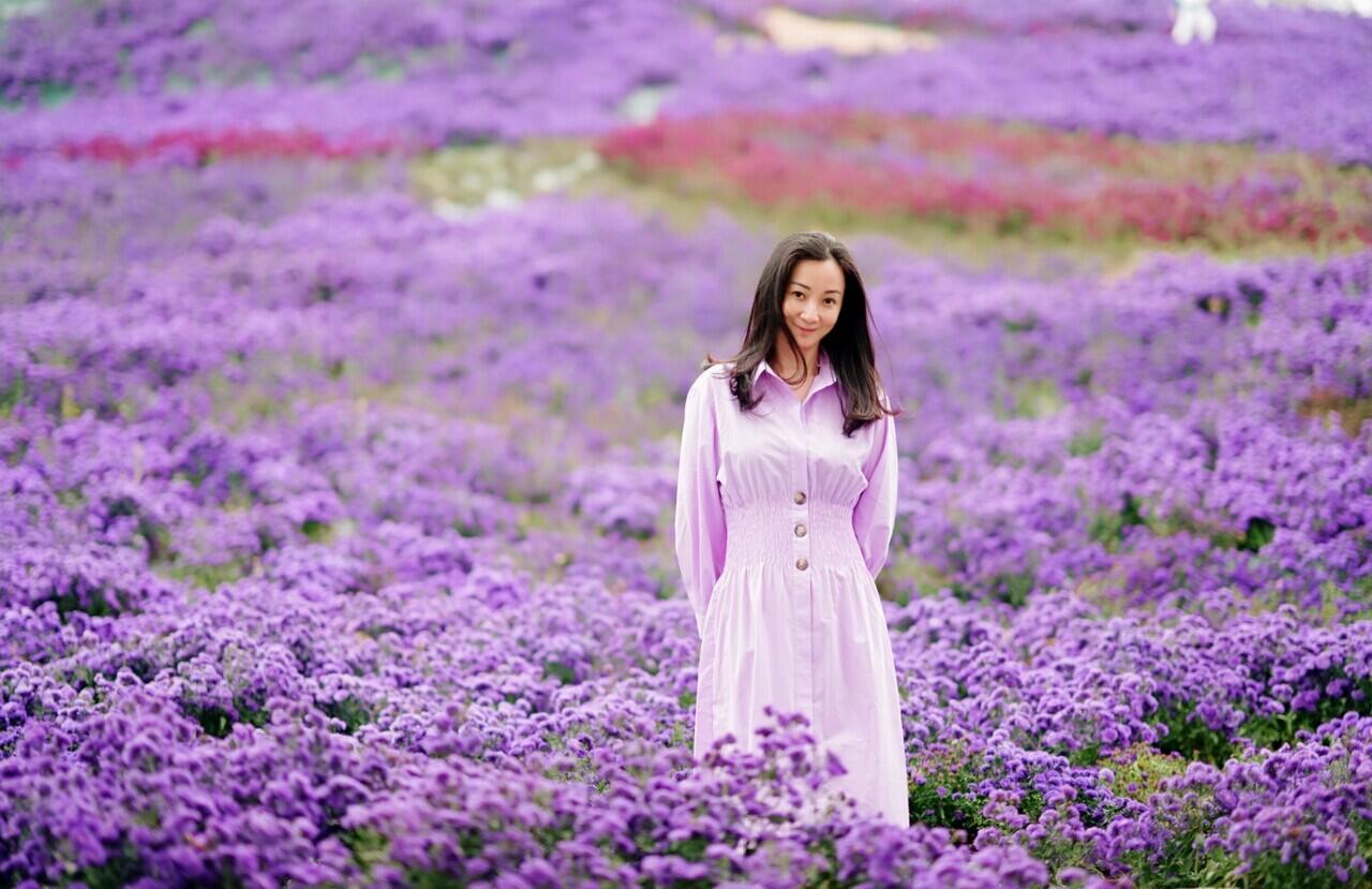 PURPLE ISLAND WISATA TERBARU DI KOREA SELATAN 