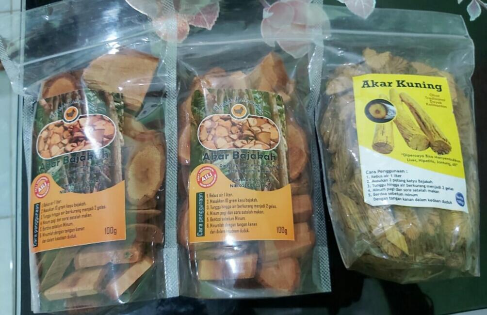 Kayu akar bajakah dipercaya bisa menyembuhkan kanker secara total