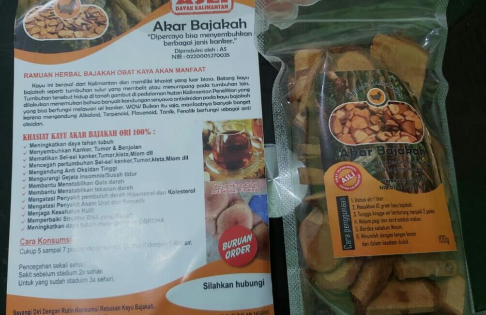 Kayu akar bajakah dipercaya bisa menyembuhkan kanker secara total
