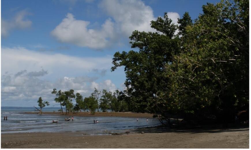&#91;Coc Reg. KalSel&#93; 5 Tempat Wisata Pantai Mempesona di Kalimantan Selatan