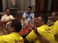 Cerita Prabowo dan Kucing Kesayangannya