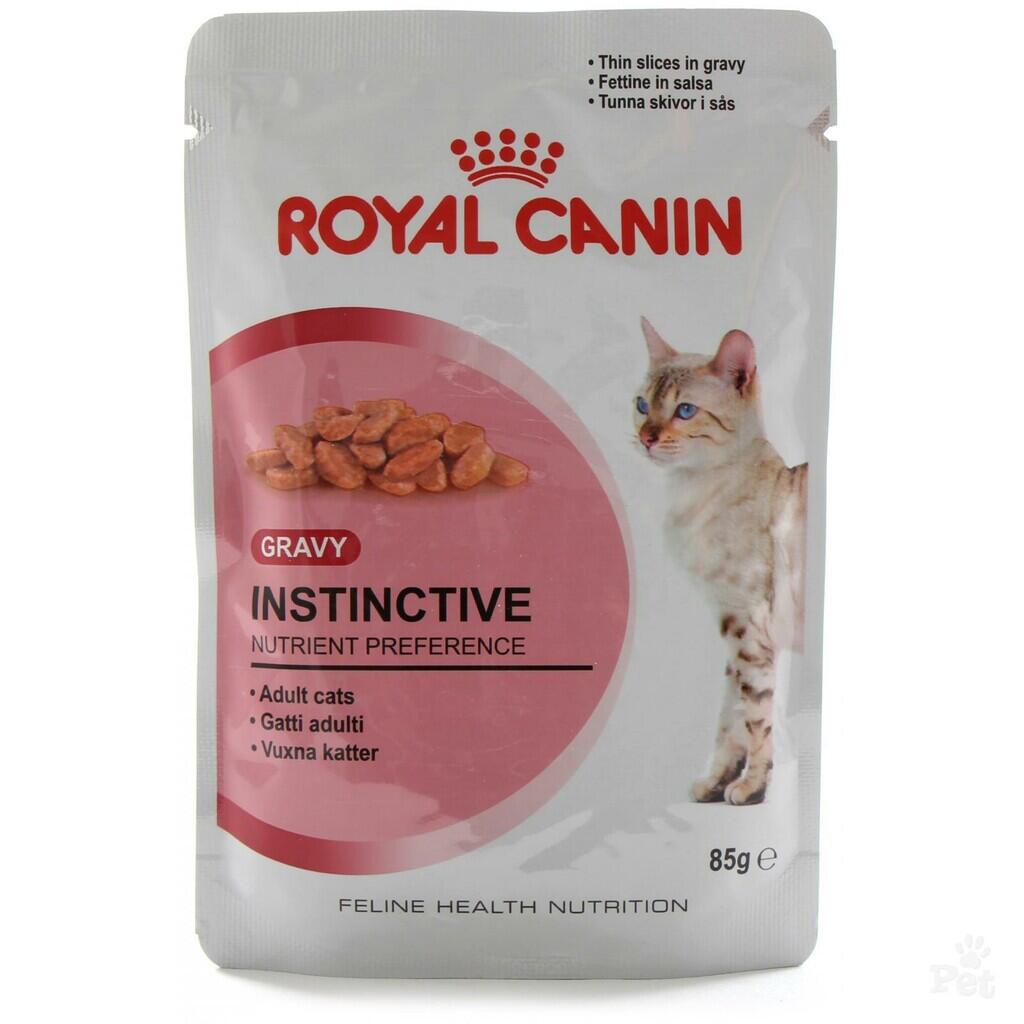 Cerita Prabowo dan Kucing Kesayangannya