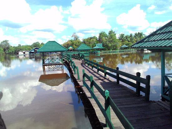 &#91;Coc Reg. KalTeng&#93; Danau Tahai! Danau Air Merah Cantik Yang Memanjakan Mata!