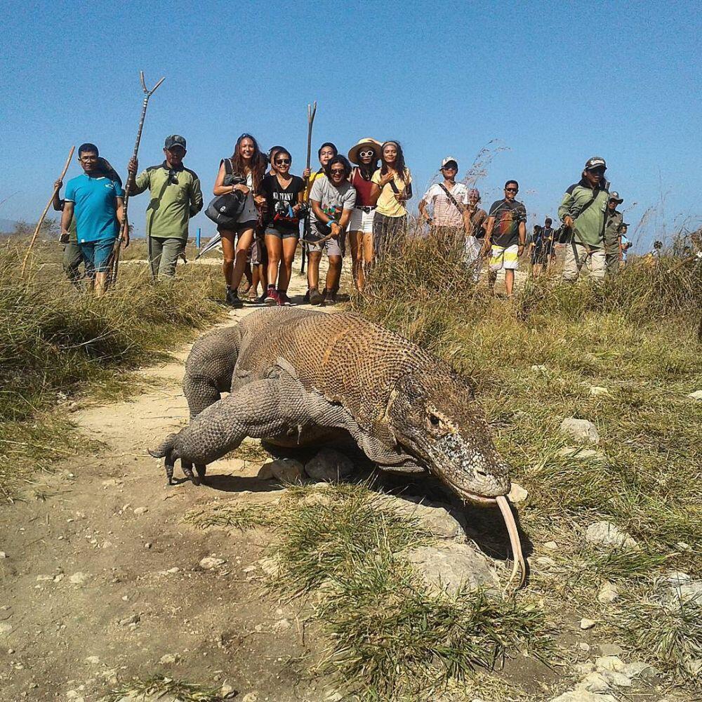 Gaya 10 seleb pose bareng komodo saat liburan, berani banget