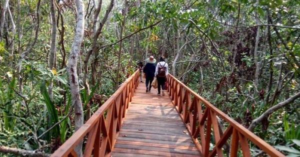 &#91;Coc Reg KalSel&#93; Melintasi Sungai Barito 1.082 m, Jembatan Barito Pemegang Rekor MURI