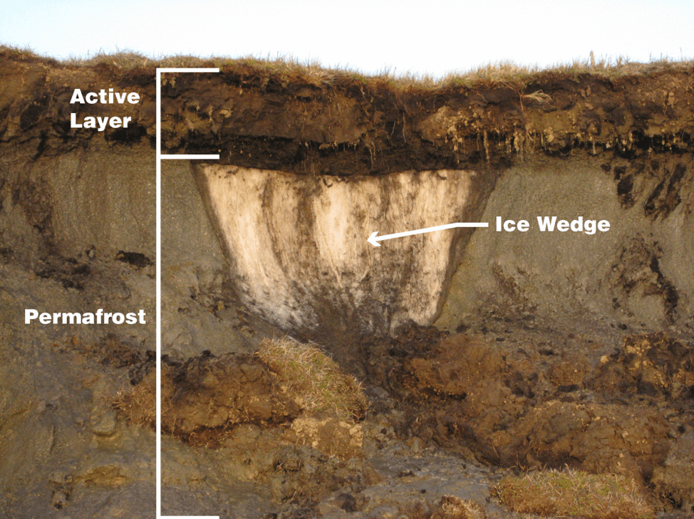 Seberapa Berbahaya Virus Purba yang Terjebak dalam Lapisan Es Permafrost ?