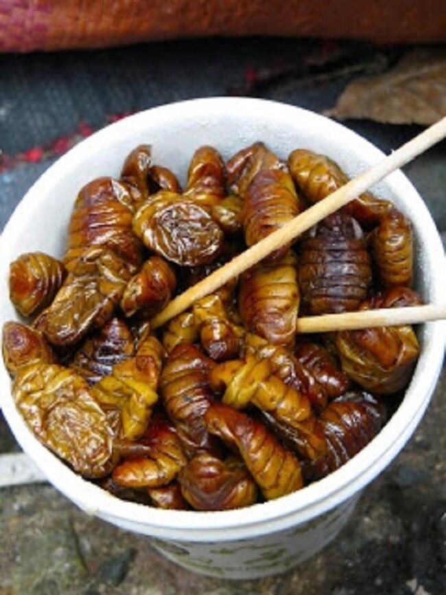 Makanan Korea yang Dinilai Cukup Ekstrem bagi Orang Indonesia, Udah Cobain?