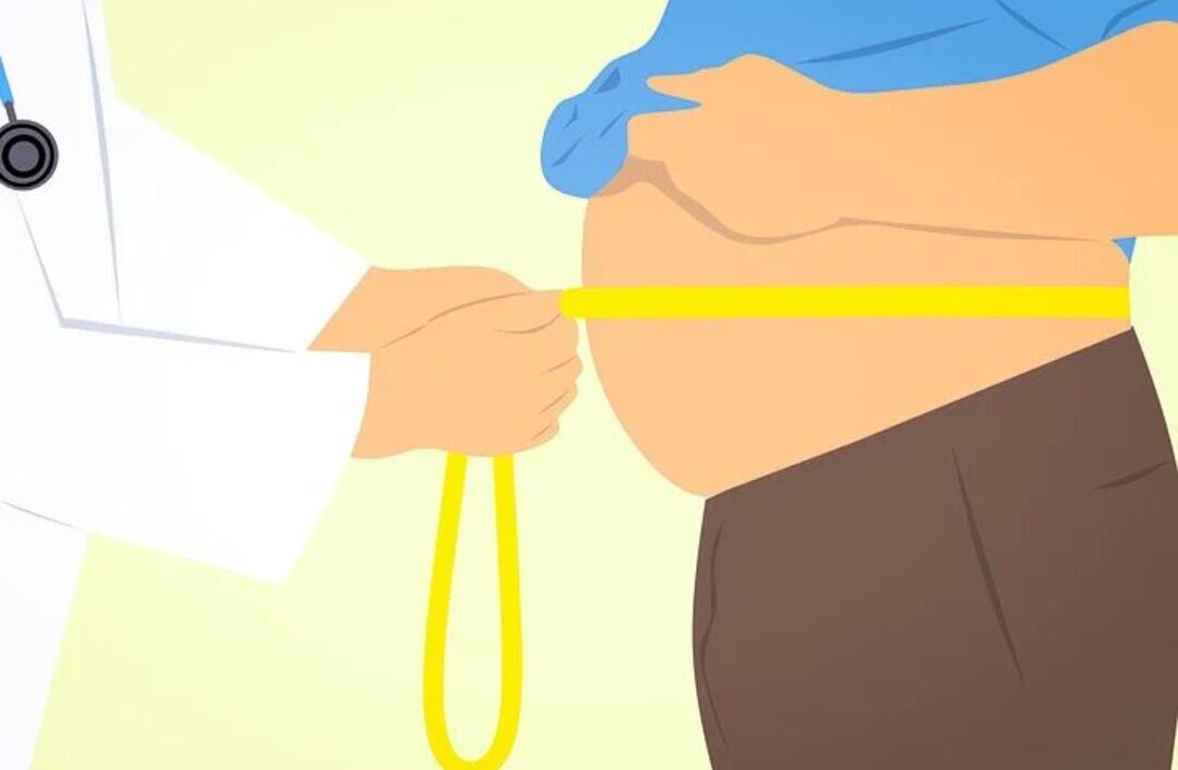 Cara Diet Sehat Alami Tanpa Melakukan Olahraga 