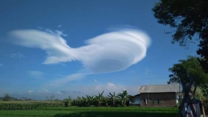 Awan Lentikularis Mirip Awan Kinton Dalam Dragon Ball, Benarkah? Ini Buktinya!