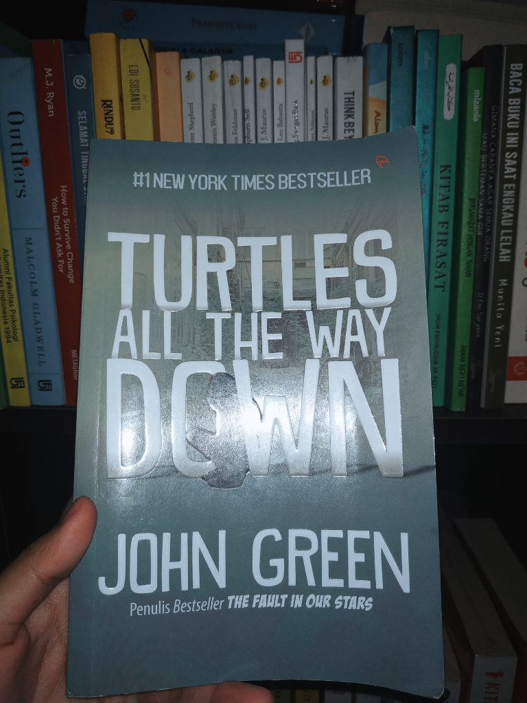 Review Singkat Buku Turtles All The Way Down
