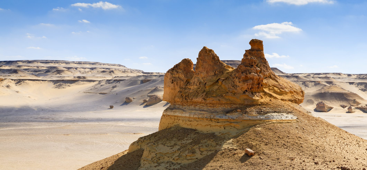 Wadi Al-Hitan! Gurun Pasir Yang Diisi Fosil Paus Di Mesir! Kok Bisa?