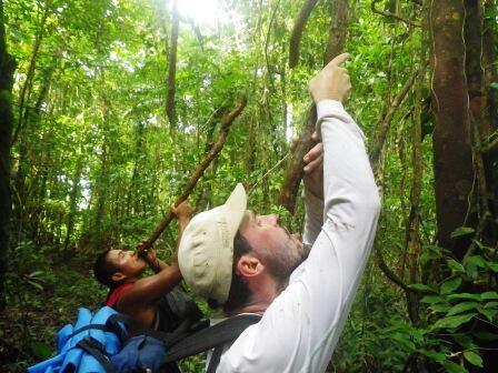 Backpacker Pemula Harus Tahu! Beberapa Tips Bertahan Hidup Jika Tersesat di Hutan 