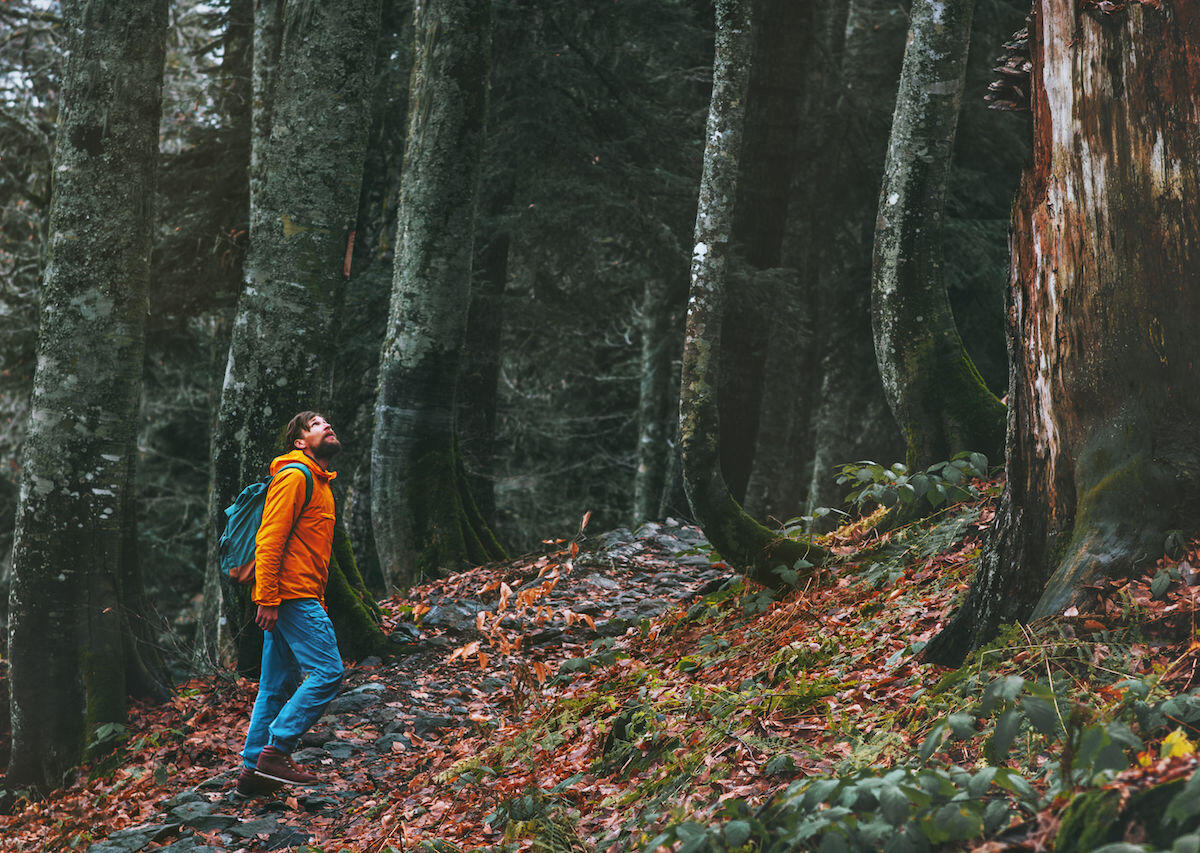 Backpacker Pemula Harus Tahu! Beberapa Tips Bertahan Hidup Jika Tersesat di Hutan 