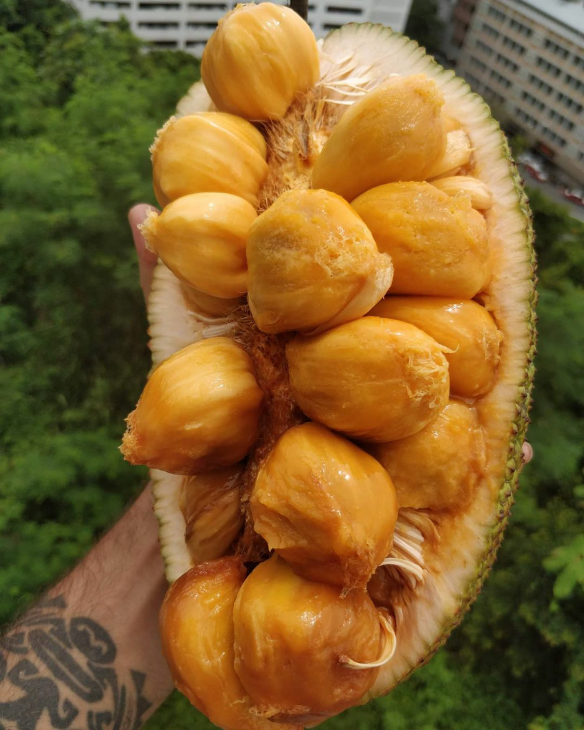 Petualangan Pablo Salvatierra, Si Pecandu Buah-Buahan Asal Argentina