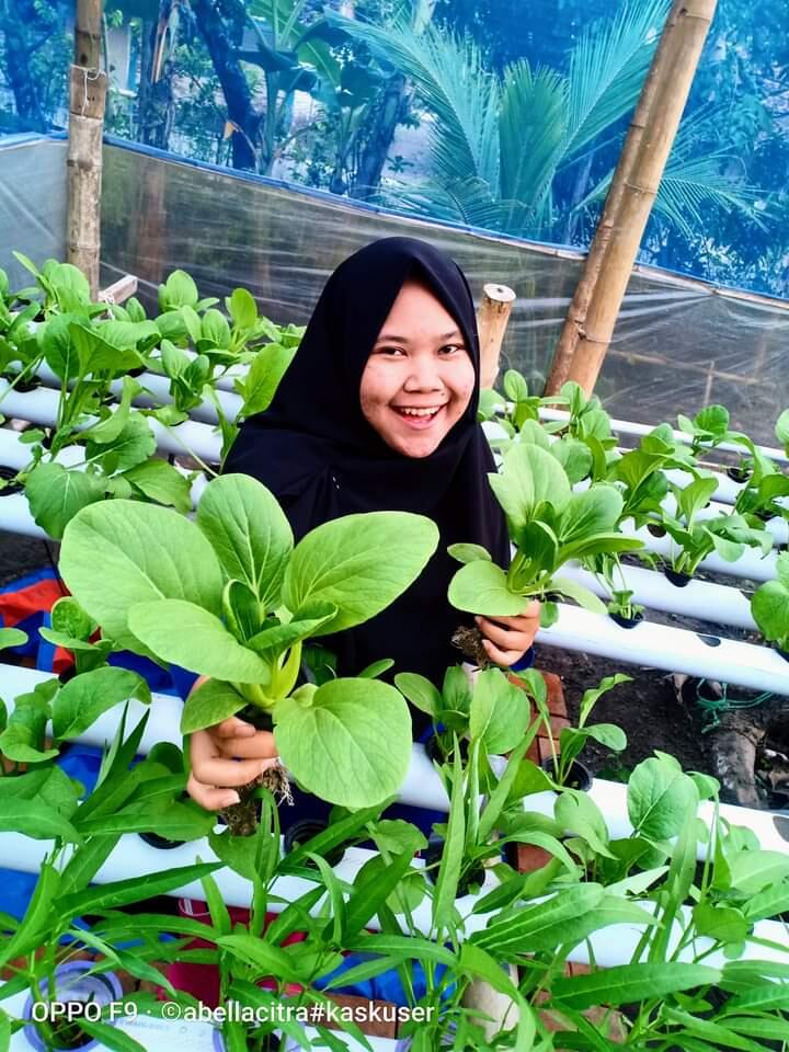 Pelopor Petani Hidroponik Manis dan Cantik