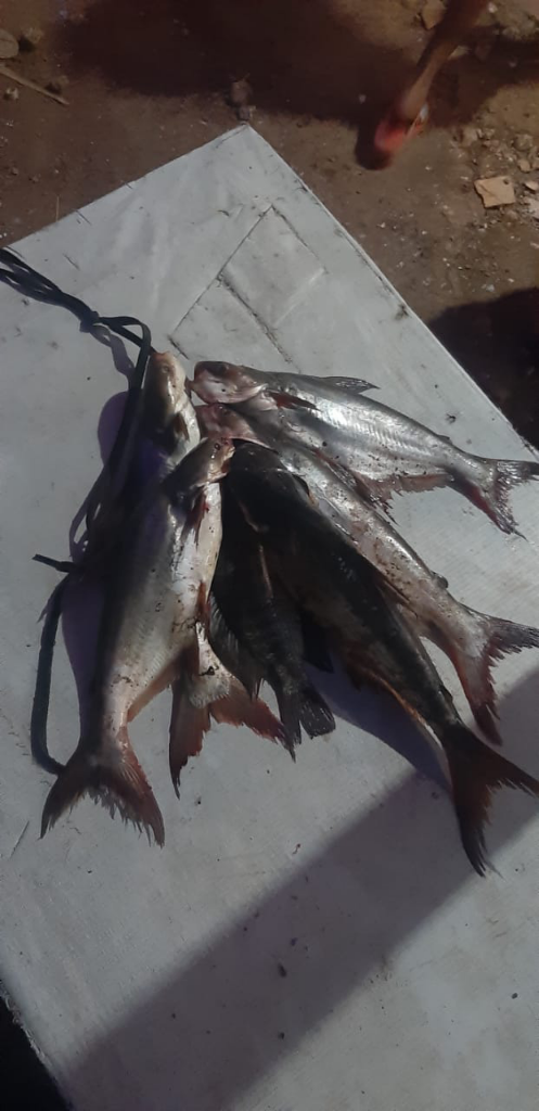 Permataku Yang Beranjak Dewasa 