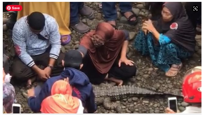 Emak-emak Mengelus Buaya, Diyakini Punya Saudara Kembar Manusia