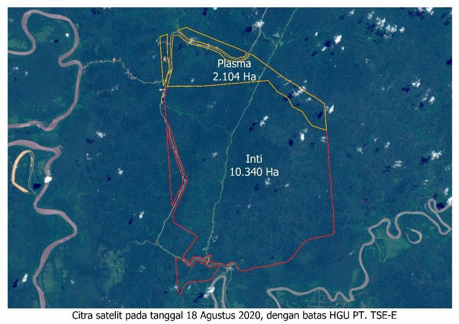 &#91;BREAKING NEWS&#93; 57 Ribu Hektar Hutan Papua Dibakar untuk Sawit