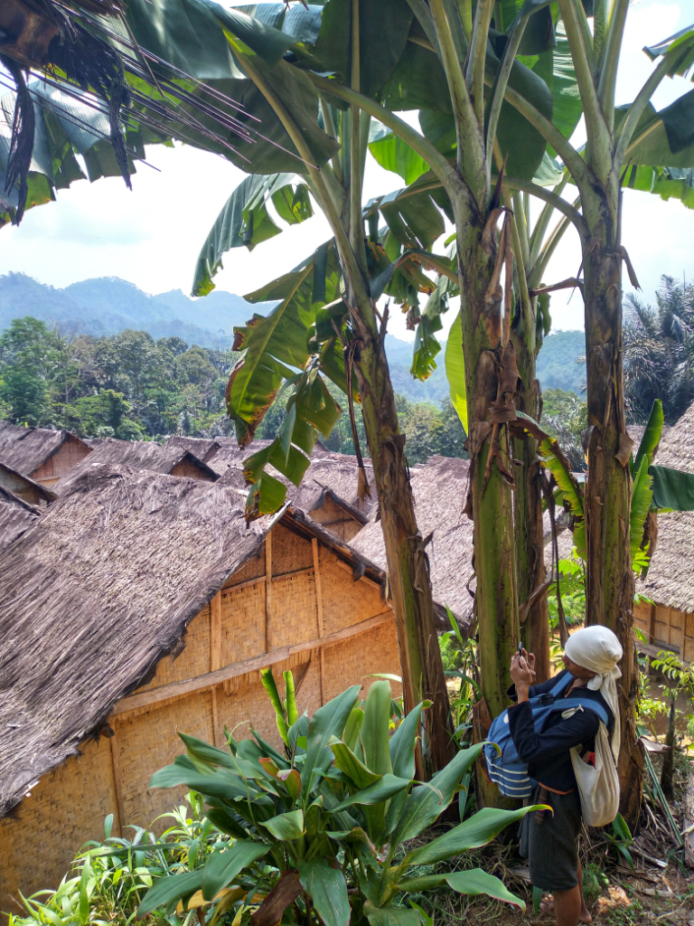 Syaduh Nya Di Suku Baduy π