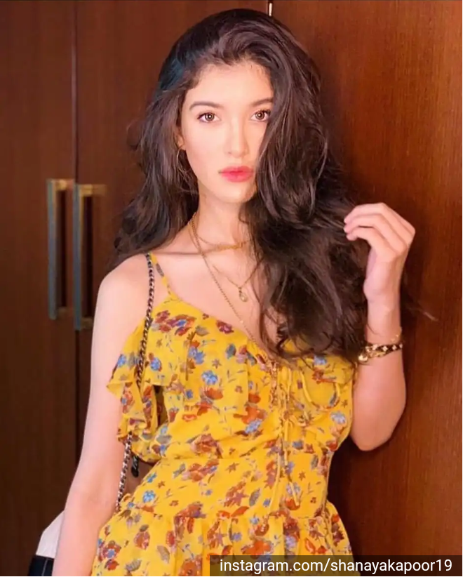 Cantik Banget! Inilah Pesona 5 Putri Selebriti Bollywood!