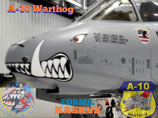 &quot;No Reason to Die&quot;, A-10 Warthog Akan Terus Bertempur Untuk Uwak Sam