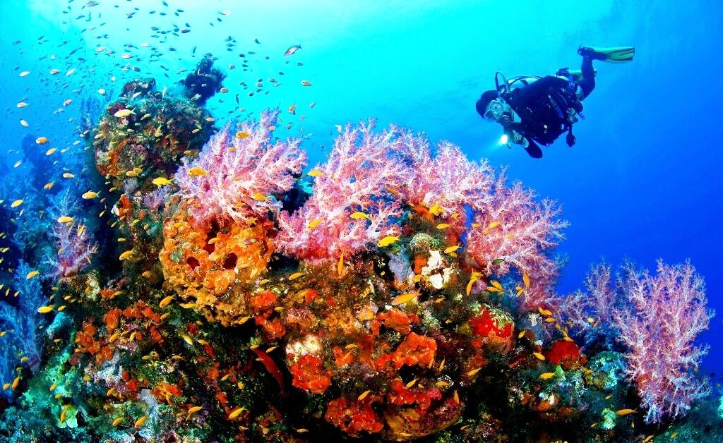 &#91;COC Reg. Gorontalo&#93; Menakjubkan! 7 Wisata Unik dan Menarik di Gorontalo