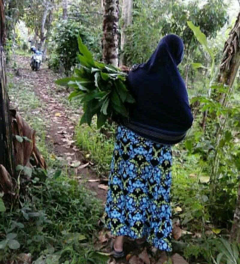 Perempuan Tangguh, Duniaku Gelap Tanpamu