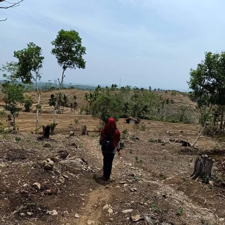 Bidan Yang Rela Mengabdi di Daerah Terpencil, Bidan Zulfa Tokoh Paling Menginspirasi