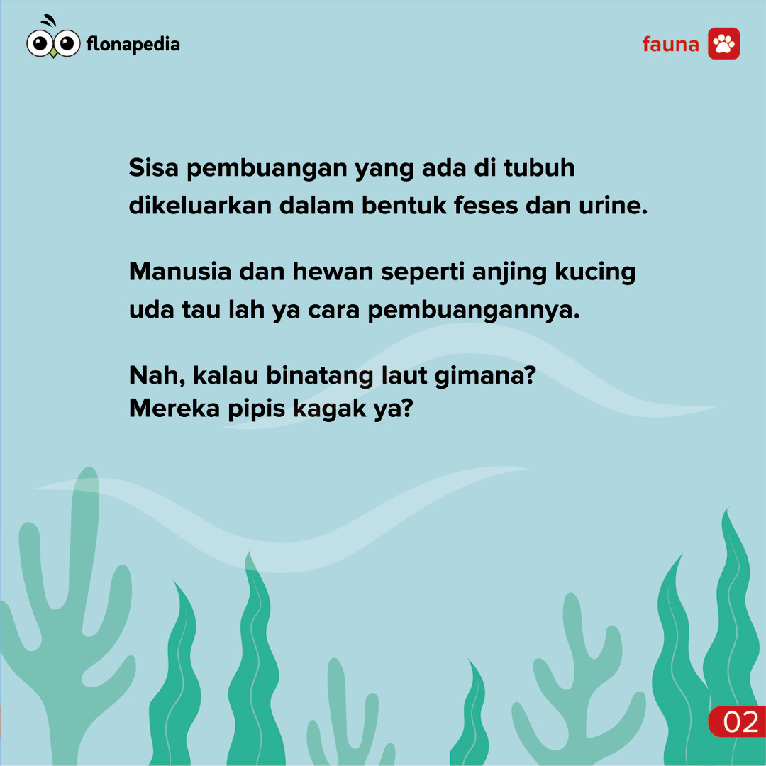 Apakah Hewan Laut Itu Pipis?