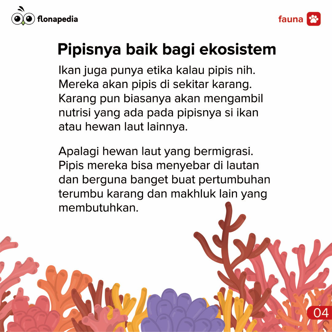 Apakah Hewan Laut Itu Pipis?