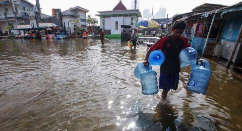 Banjir Rob, Tujuh Pemukiman Warga di Jakarta Terendam
