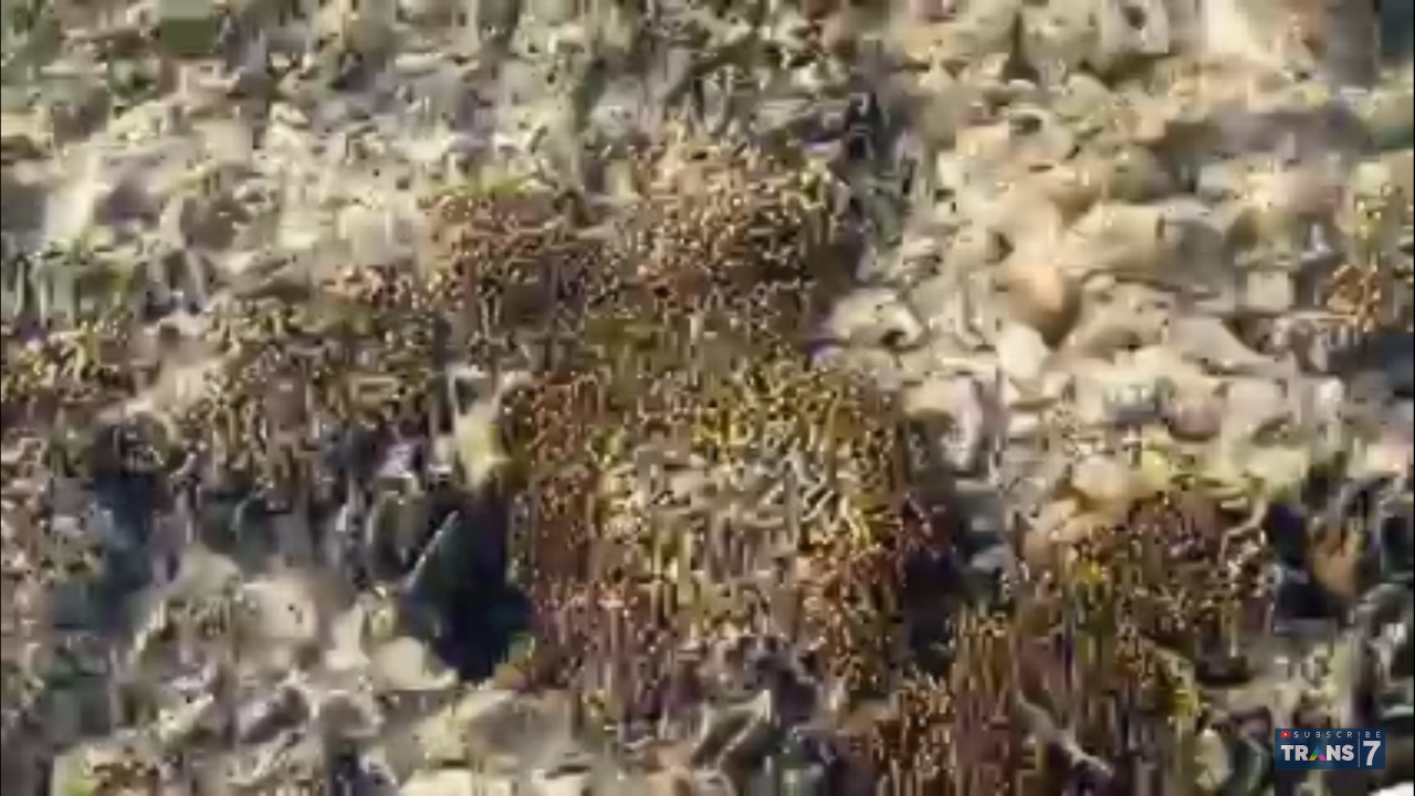 &#91;COC Reg. Gorontalo&#93; Ane Nggak Percaya Tempat Seindah Ini Ada di Gorontalo!