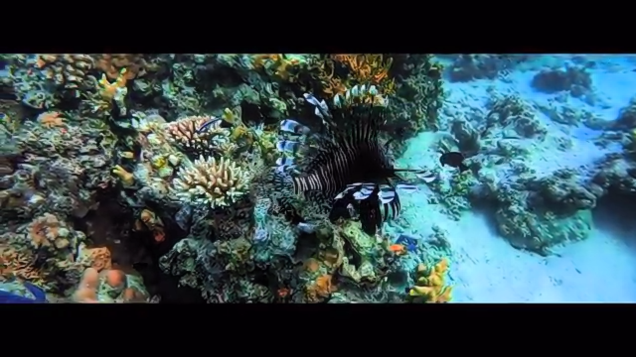 &#91;COC Reg. Gorontalo&#93; Ane Nggak Percaya Tempat Seindah Ini Ada di Gorontalo!