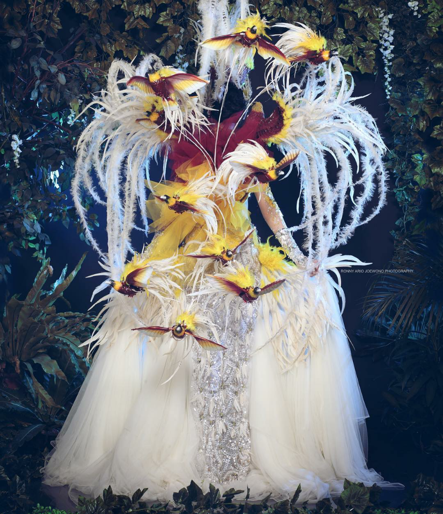 &#91;Coc Reg. Jember&#93; 10 National Costume Karya Dynand Fariz (JFC) Yang Memukau 