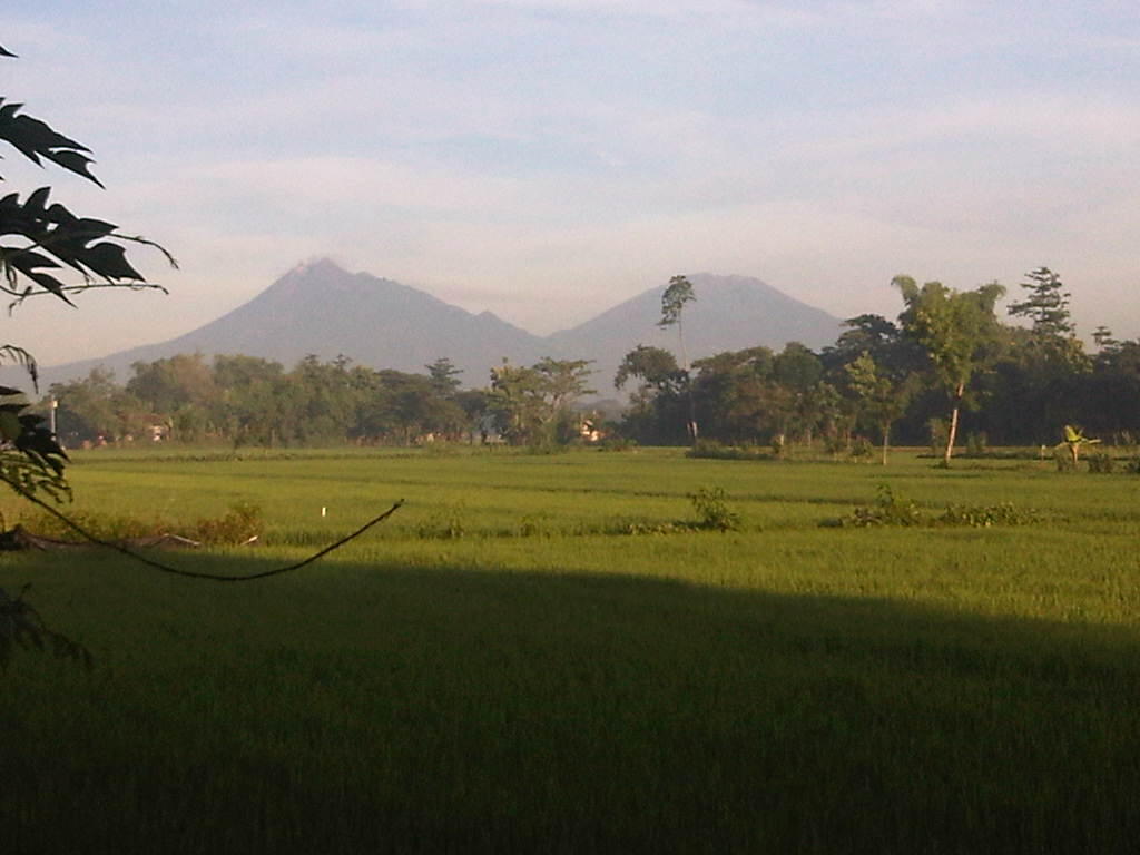 Petani Pahlawan Pangan Nasional, Tetap Berdiri Kokoh Meski Ekonomi Dunia Ambruk