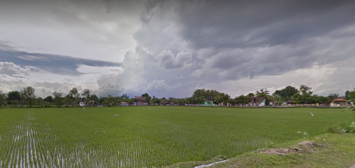 Petani Pahlawan Pangan Nasional, Tetap Berdiri Kokoh Meski Ekonomi Dunia Ambruk