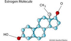 Warna Puting Pada Payudara Hitam? Kanker? Coba Cek Dulu Faktanya Ladies..