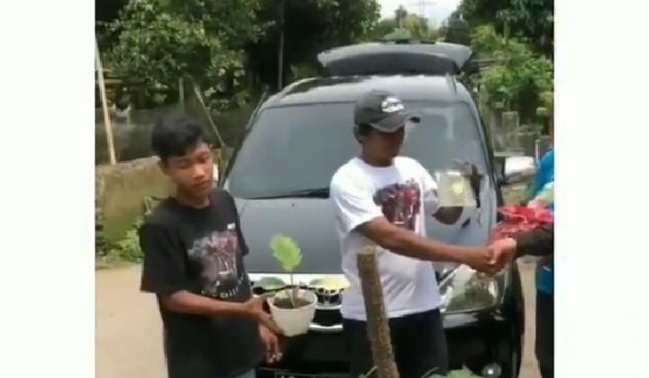 Heboh Video Barter 4 Tanaman Hias dengan Sebuah Mobil Avanza! Hoax atau Fakta?