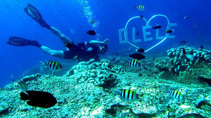 &#91;Coc Reg. Gorontalo&#93; Taman Laut Olele! Surga Bawah Laut Yang Indah Di Gorontalo!