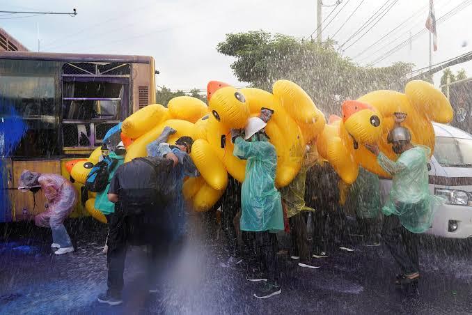 Bebek-Bebek Lucu di Tengah Aksi Unjuk Rasa di Thailand