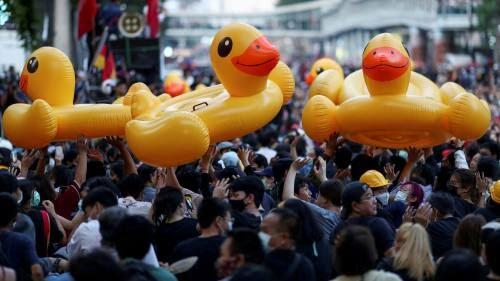 Bebek-Bebek Lucu di Tengah Aksi Unjuk Rasa di Thailand