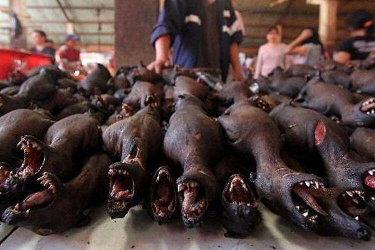 &#91;COC Reg. Manado&#93; Ektrim! 3 Makanan Berikut Jadi Menu Perayaan Natal di Manado